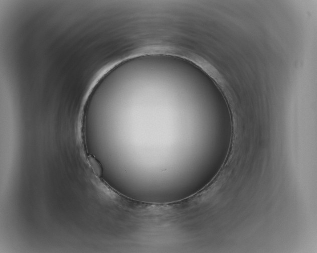 X0000111490912200907211007