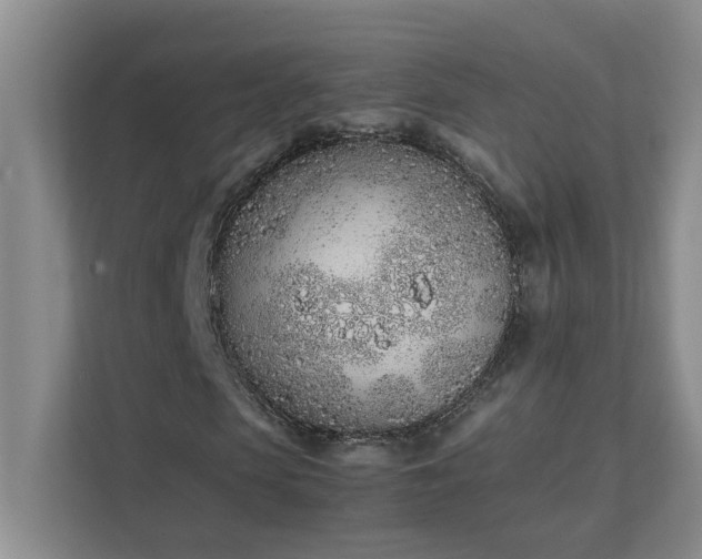 X0000111490913200907211006