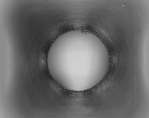 X0000111490914200907211006