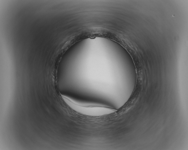 X0000111490916200907211006