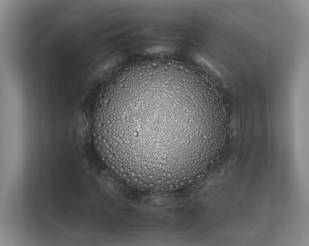 X0000111490917200907211006