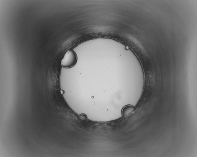 X0000111490918200907211006