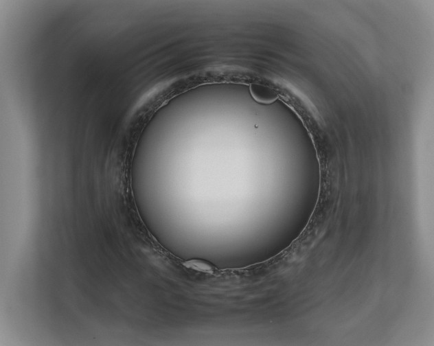 X0000111490919200907211006