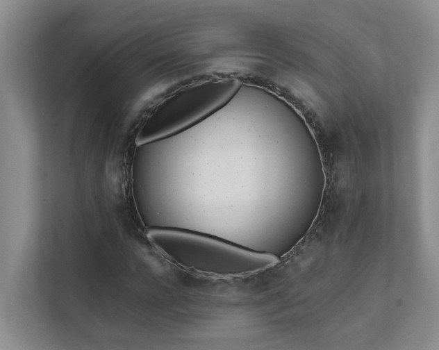 X0000111490920200907211006