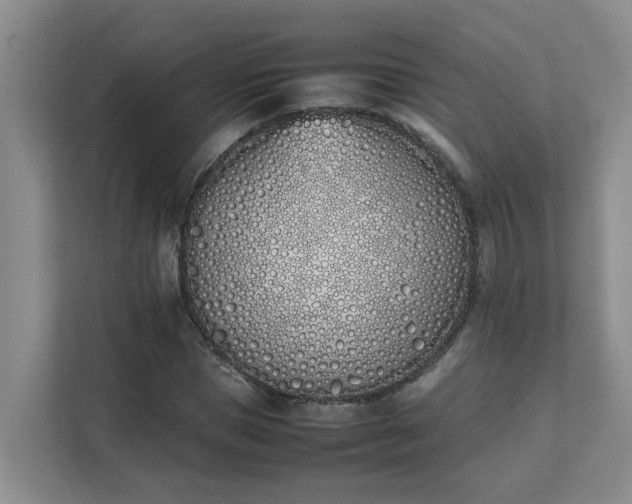 X0000111490921200907211006