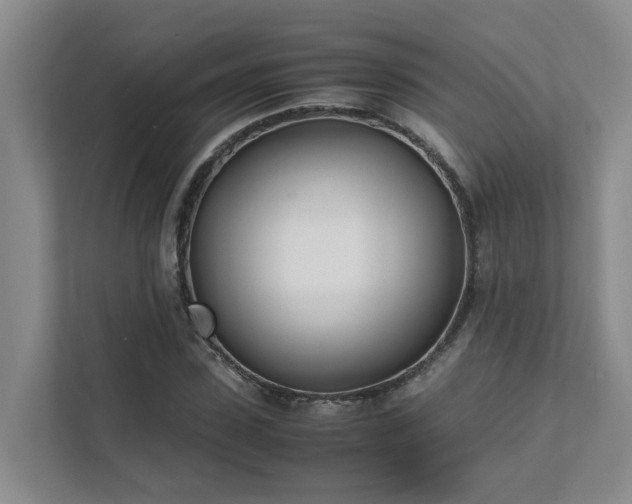 X0000111490923200907211006