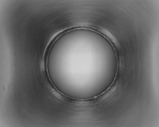 X0000111490924200907211006