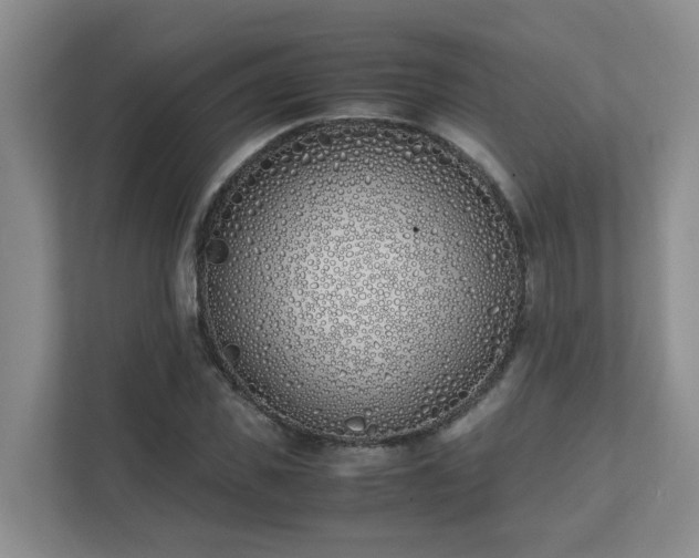 X0000111490925200907211006