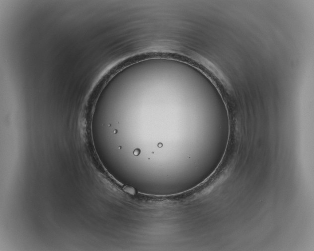 X0000111490926200907211006