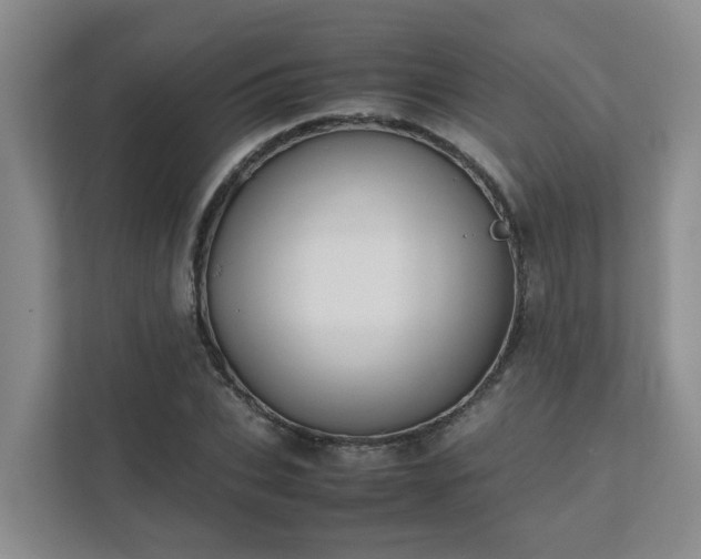 X0000111490927200907211006