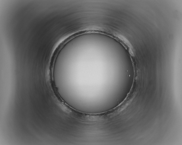 X0000111490928200907211006