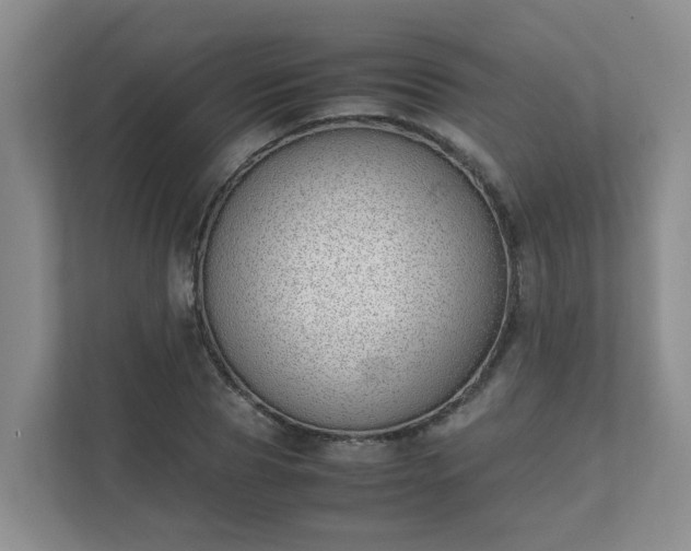 X0000111490929200907211006