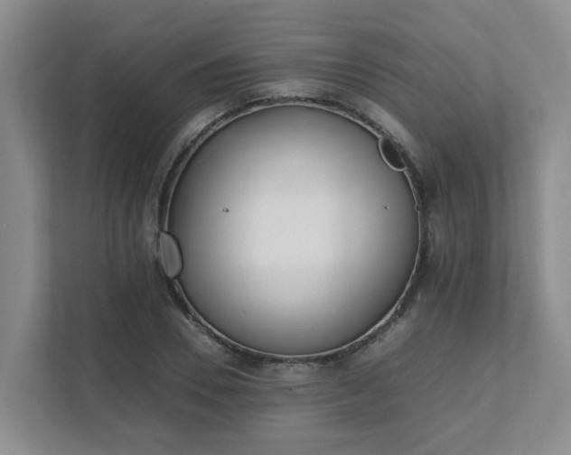 X0000111490930200907211006