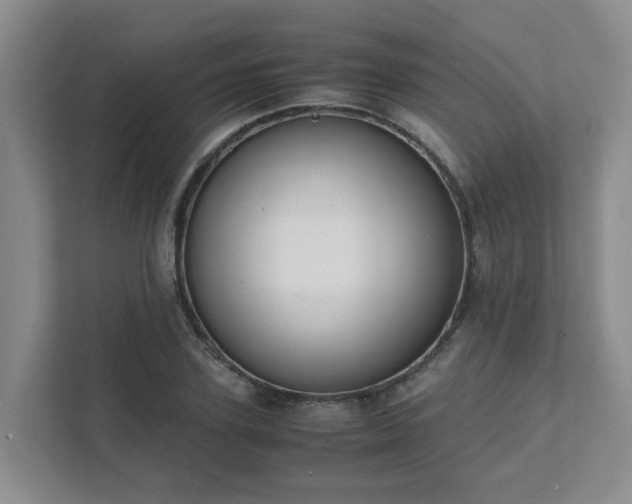 X0000111490931200907211006