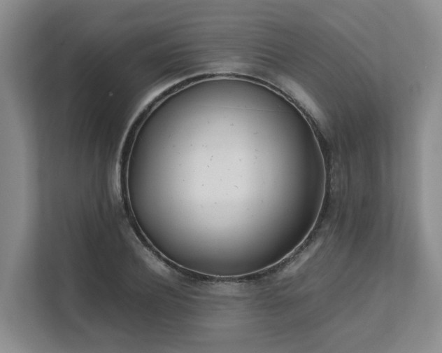 X0000111490932200907211006