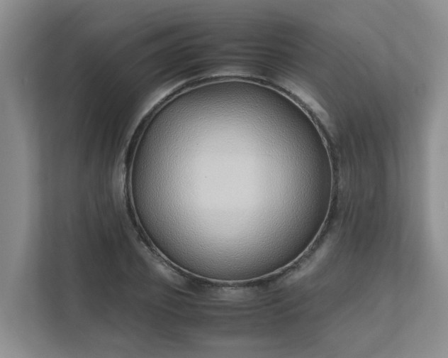 X0000111490933200907211006