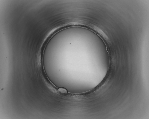 X0000111490934200907211006