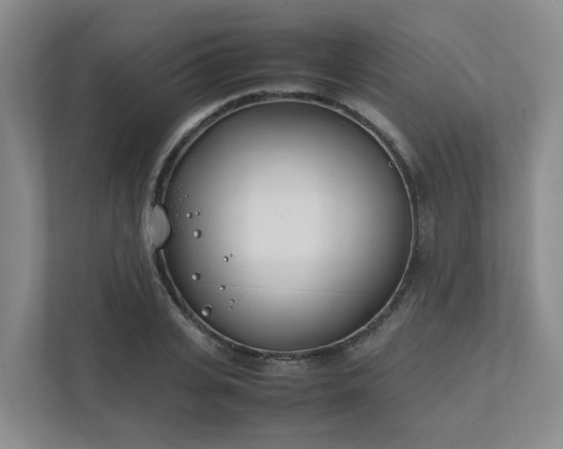 X0000111490935200907211006