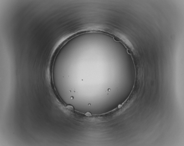 X0000111490936200907211006