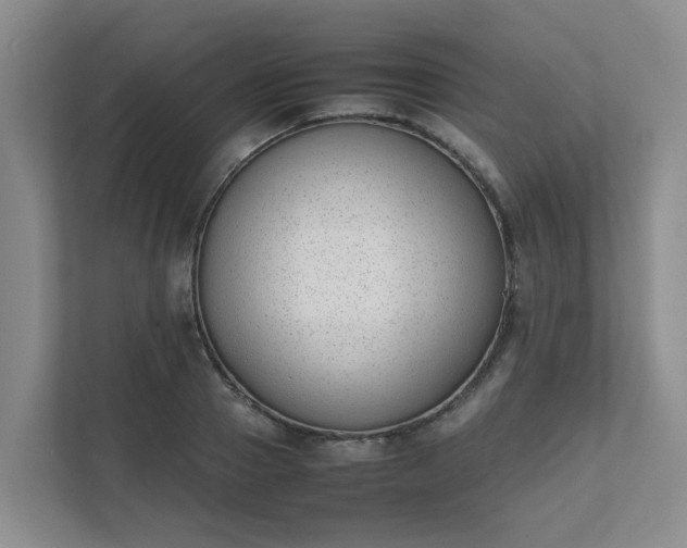 X0000111490937200907211006