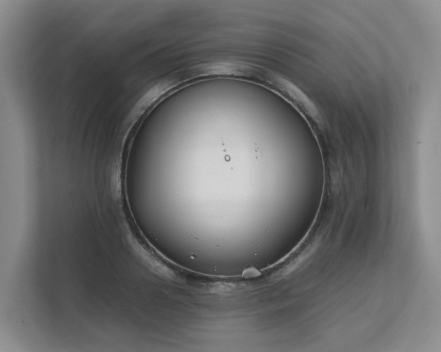 X0000111490938200907211006