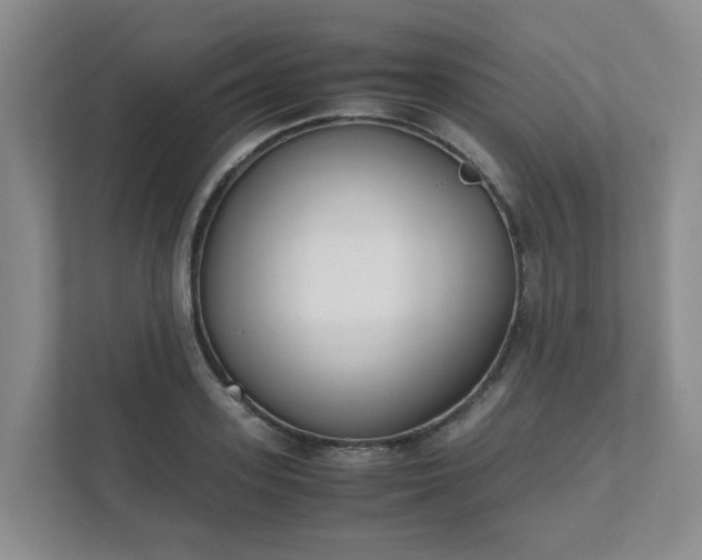 X0000111490939200907211006