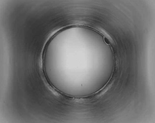 X0000111490940200907211006