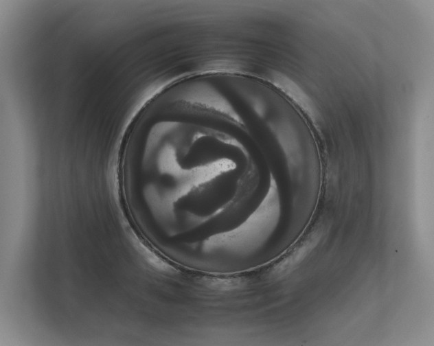 X0000111490941200907211006