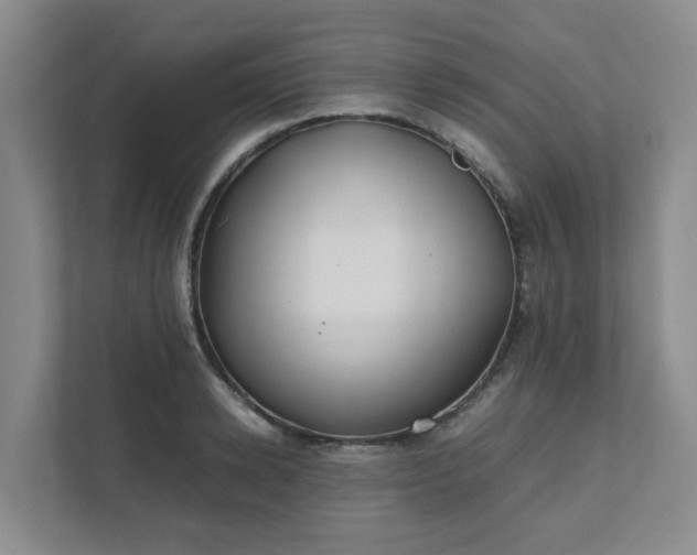 X0000111490942200907211006