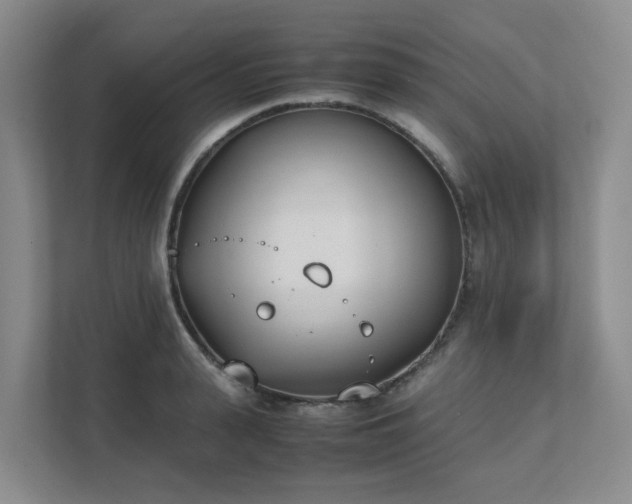 X0000111490943200907211006