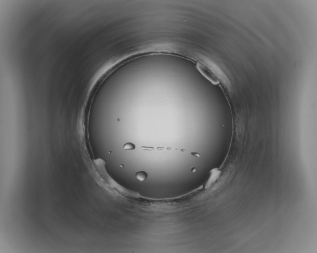 X0000111490944200907211006