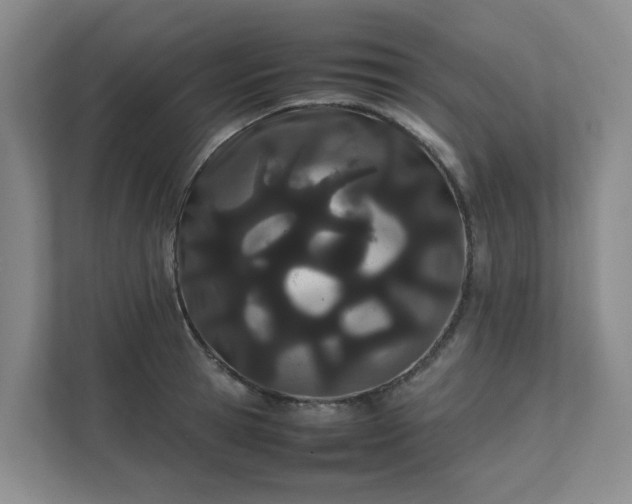 X0000111490945200907211006