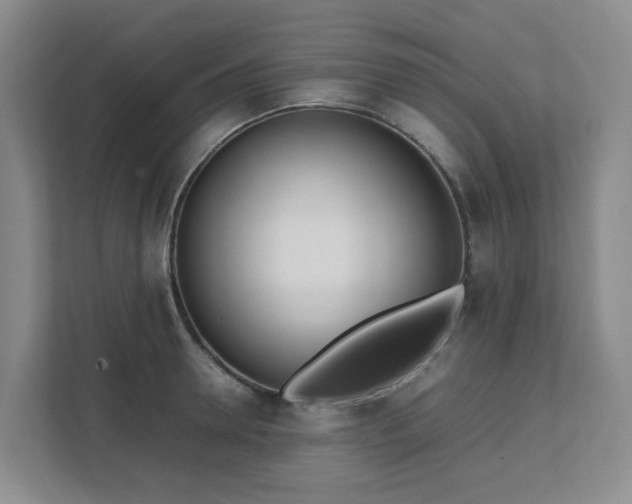 X0000111490946200907211006