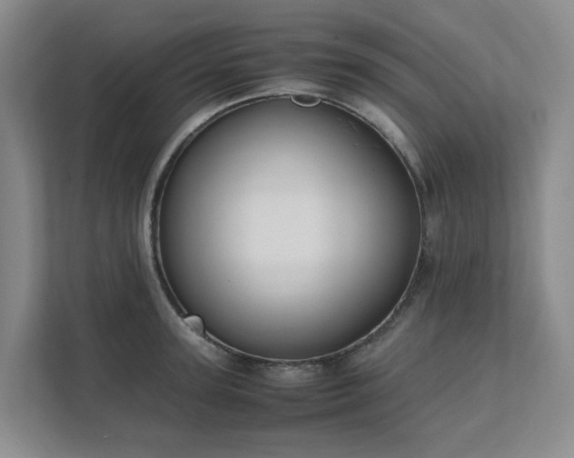 X0000111490947200907211006