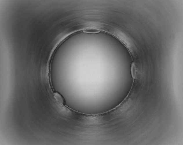 X0000111490948200907211007