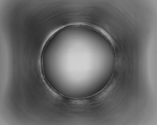 X0000111490951200907211007