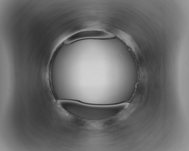 X0000111490952200907211007