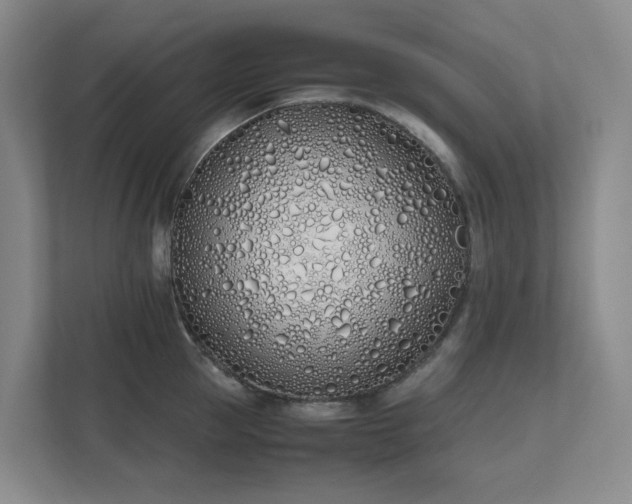 X0000111490953200907211007