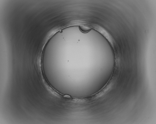 X0000111490954200907211007