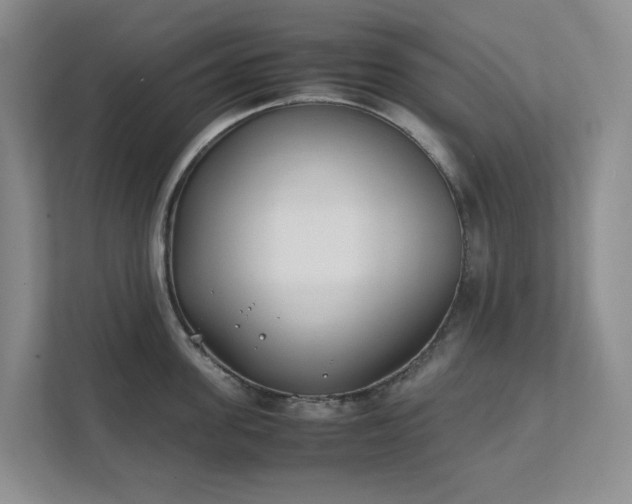 X0000111490955200907211007