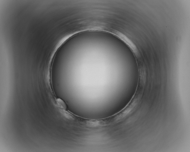 X0000111490956200907211007