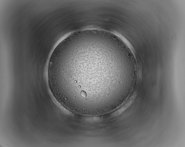 X0000111490957200907211007