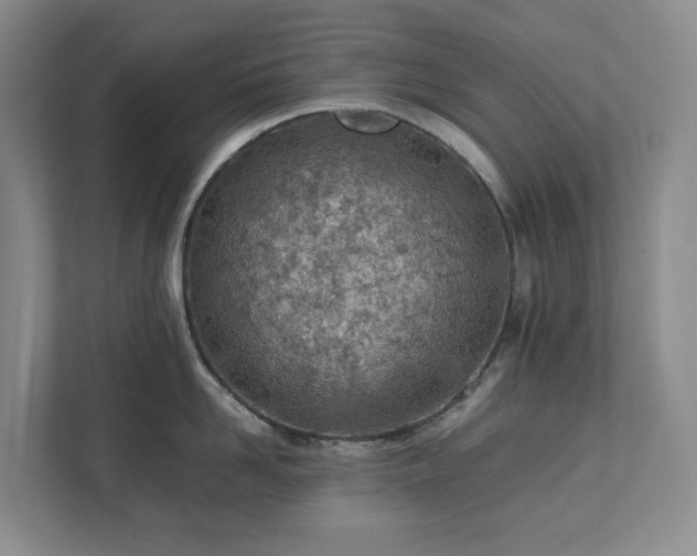 X0000111490958200907211007