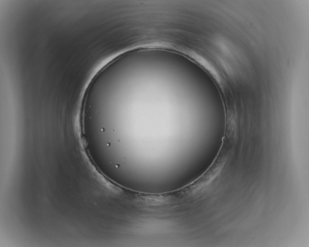 X0000111490959200907211007