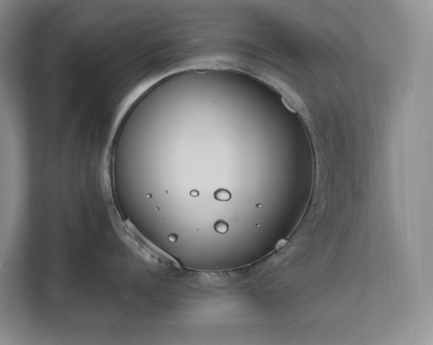 X0000111490960200907211007