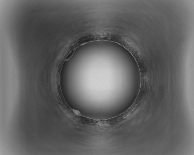 X0000111490961200907211006