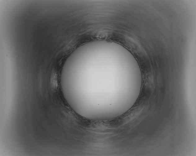 X0000111490962200907211006