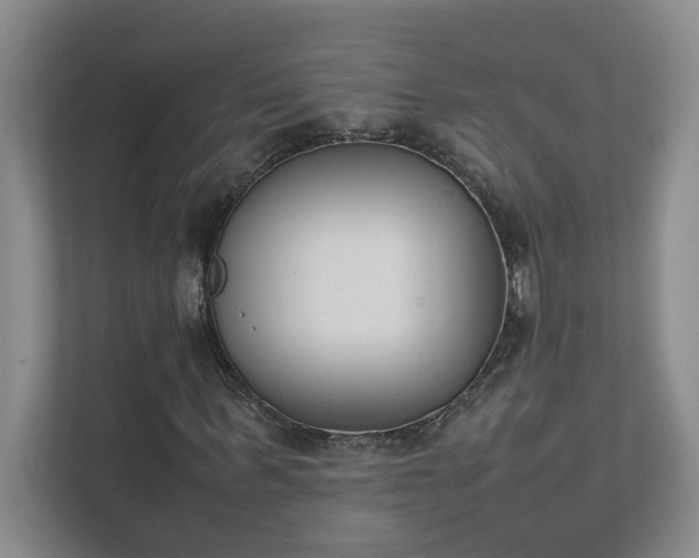 X0000111490963200907211006