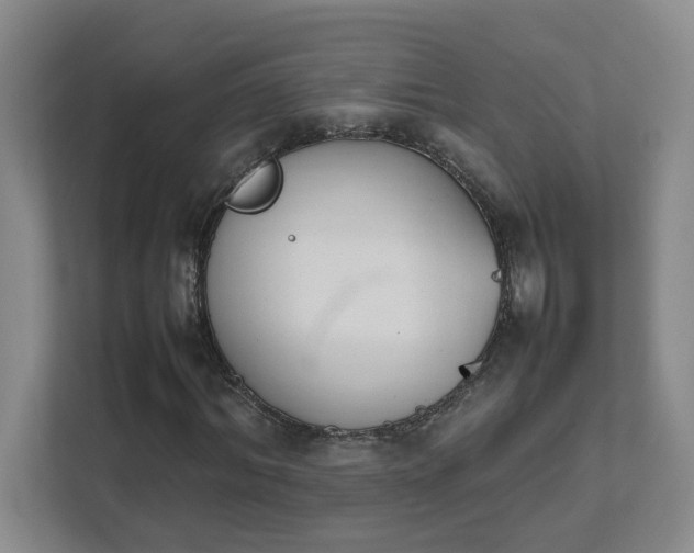 X0000111490964200907211006