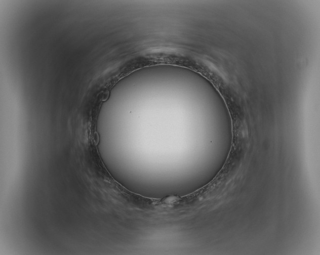 X0000111490965200907211006